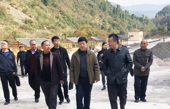 巴东县委副书记、县长洪家进到羽叶集茶业调研指导工作