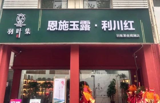 羽叶集恩施玉露利川红武汉南湖旗舰店低调起航