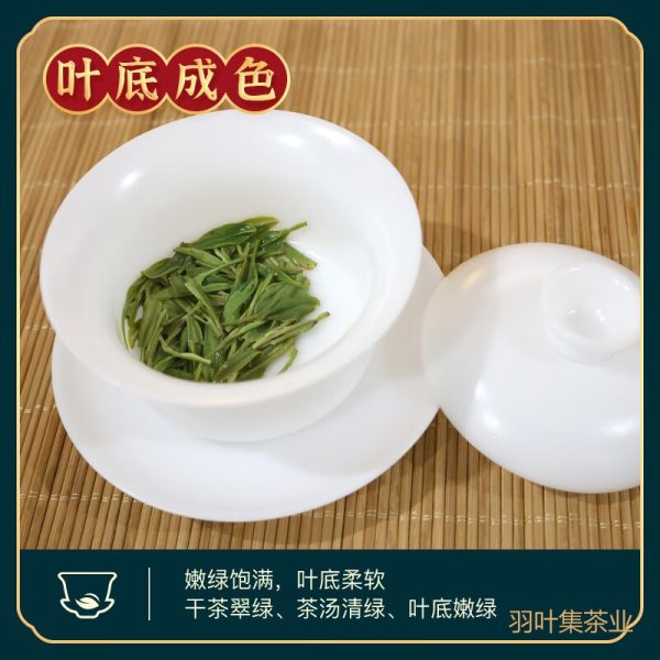 羽叶集恩施玉露头采明前特级绿茶茶叶礼盒羽沁豪华200g