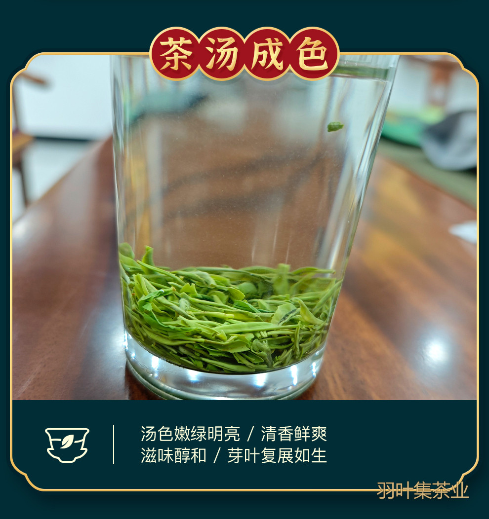 羽叶集明前特级恩施玉露独立小袋装T90