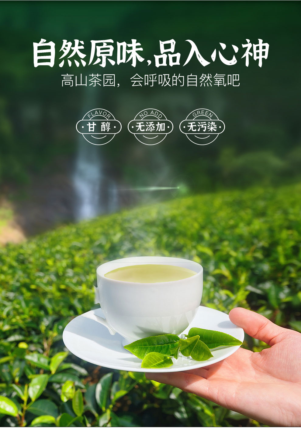 羽叶集恩施玉露绿茶茶叶 羽叶集明前头采春茶礼盒中秋节送礼国庆节送长辈200g