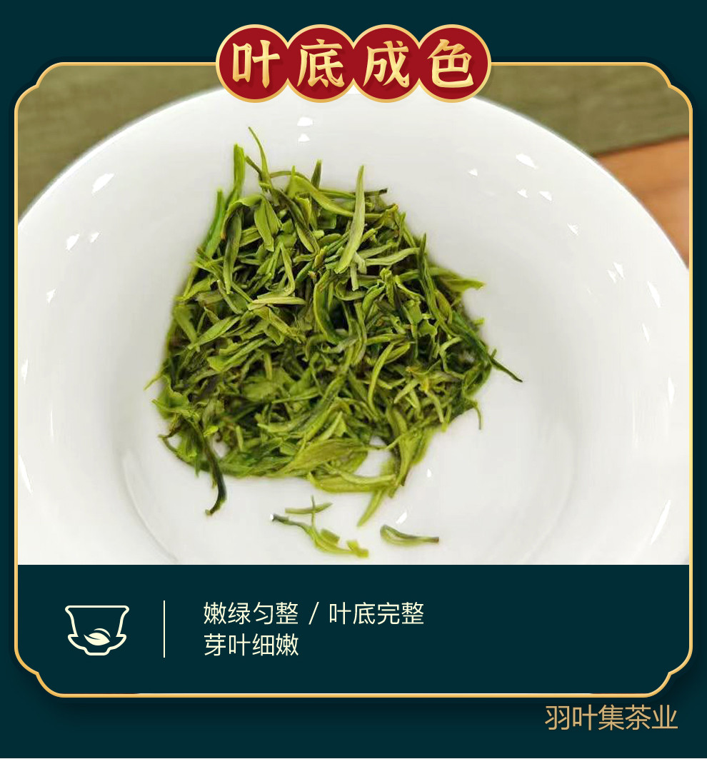 羽叶集明前特级恩施玉露独立小袋装T90