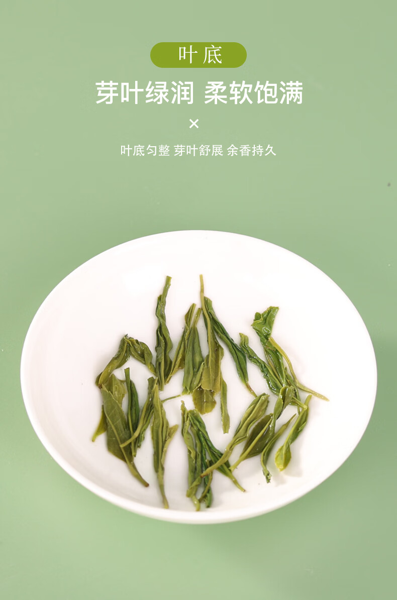 羽叶集明后恩施玉露口粮茶250g