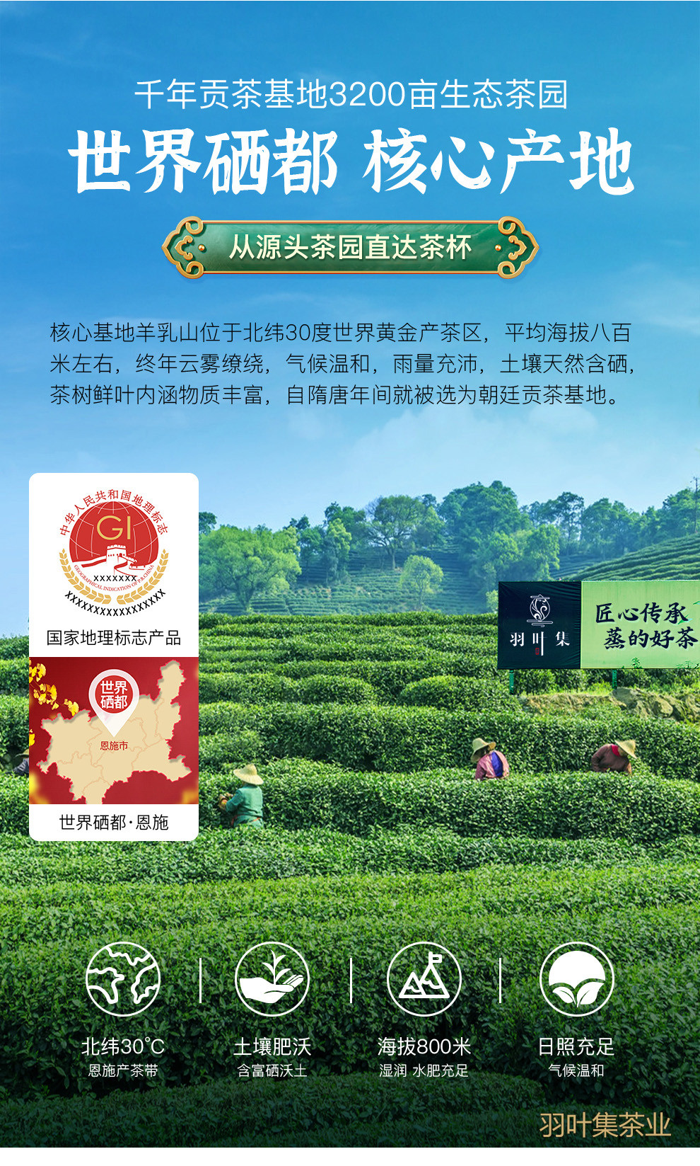90一级-拷贝_10 拷贝