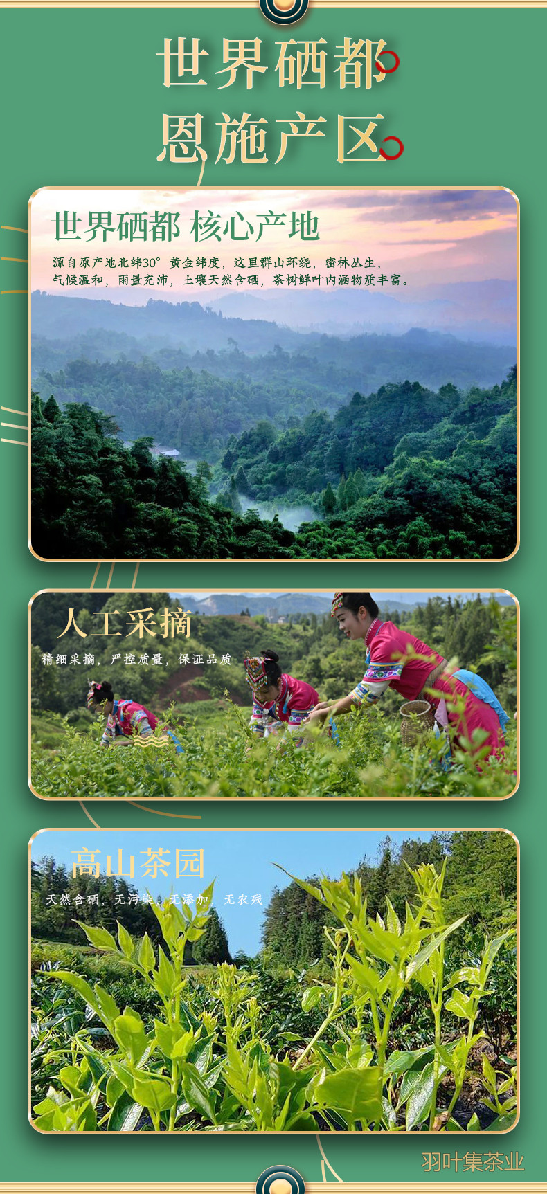 羽叶集恩施藤茶硒茶龙须芽尖莓茶养生茶节日送礼实惠口粮茶自己喝60克