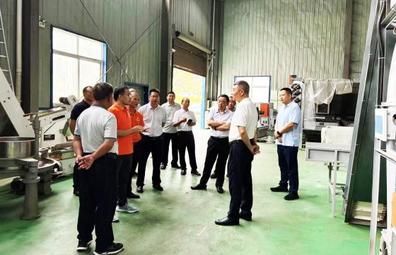 州政协主席、茶产业链链长单艳平赴羽叶集茶业调研