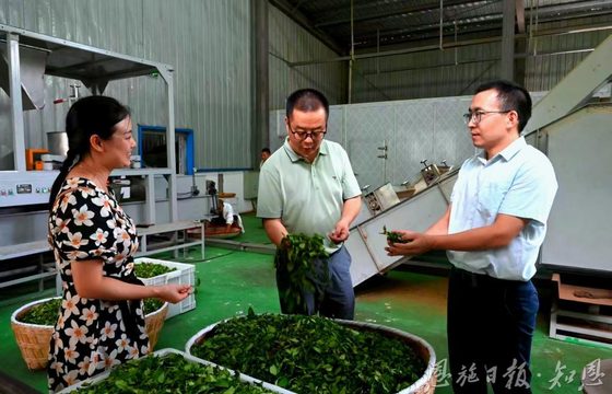 【恩施州农业农村局】一片会“飞”的茶叶——巴东能人陈代明触“网”带着茶叶乘“云”出山