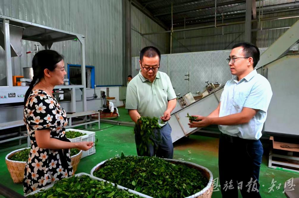 【恩施州农业农村局】一片会“飞”的茶叶——巴东能人陈代明触“网”带着茶叶乘“云”出山