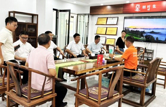巴东县委副书记、县长沈浩然一行莅临羽叶集茶业调研茶产业发展