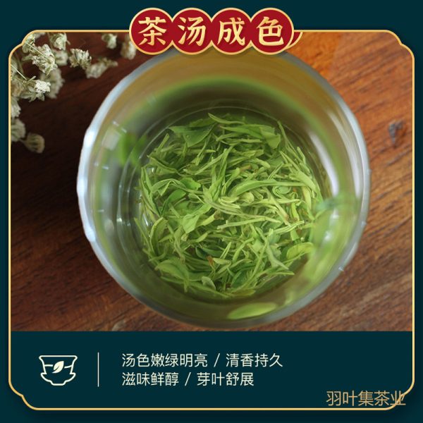 羽叶集恩施玉露明前恩施硒茶绿茶叶 自饮口粮茶冷泡茶独立小袋羽叶集茶叶90g