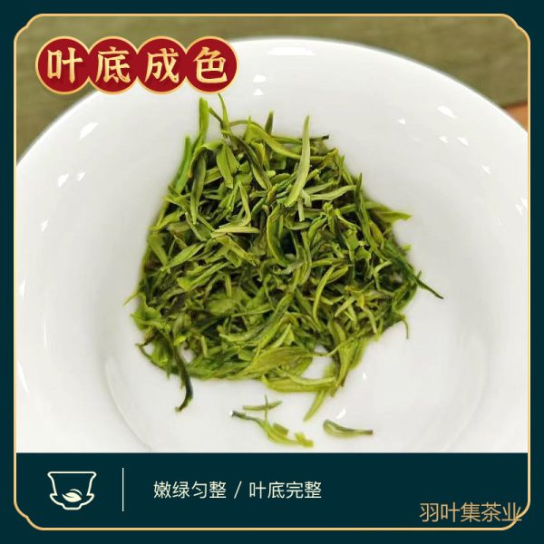 羽叶集明前特级恩施玉露独立小袋装T90
