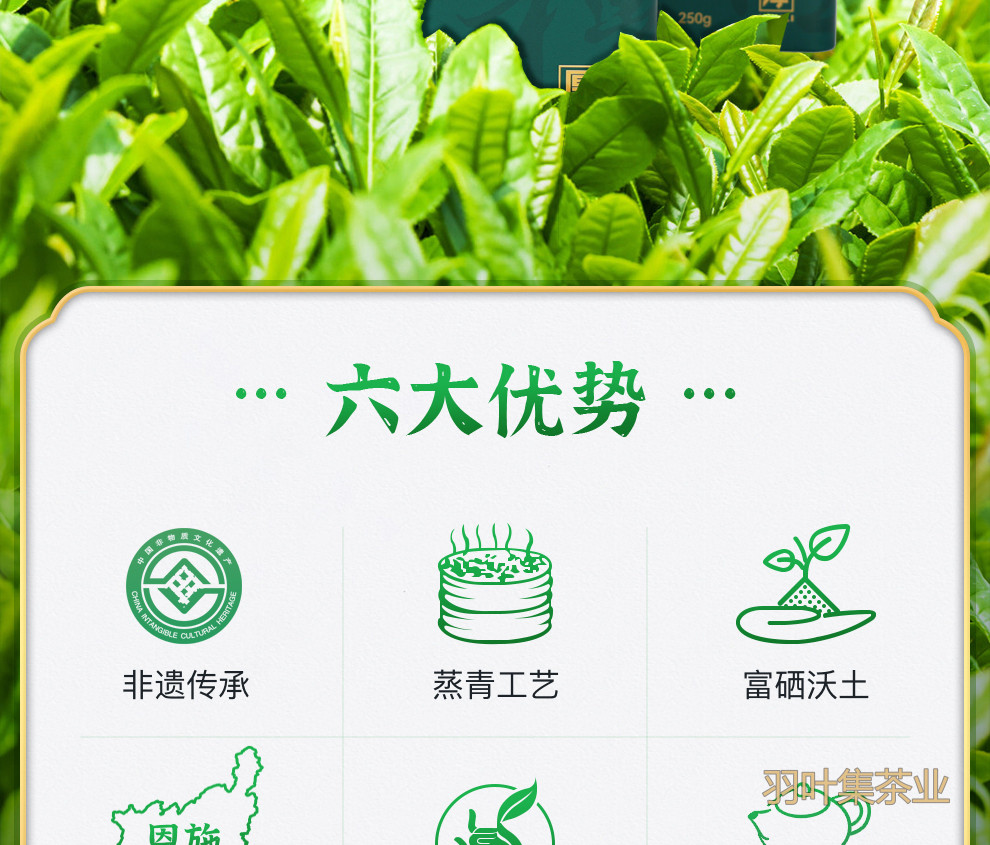 恩施玉露01-拷贝_03