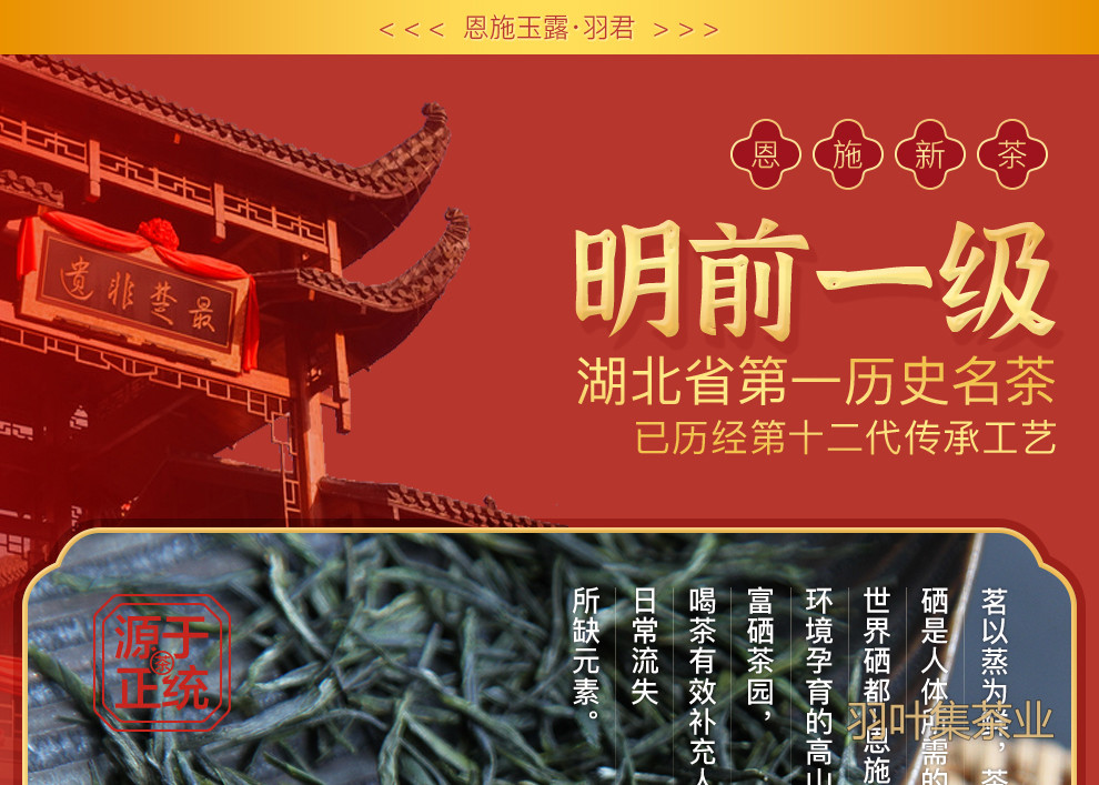 恩施玉露01-拷贝_05