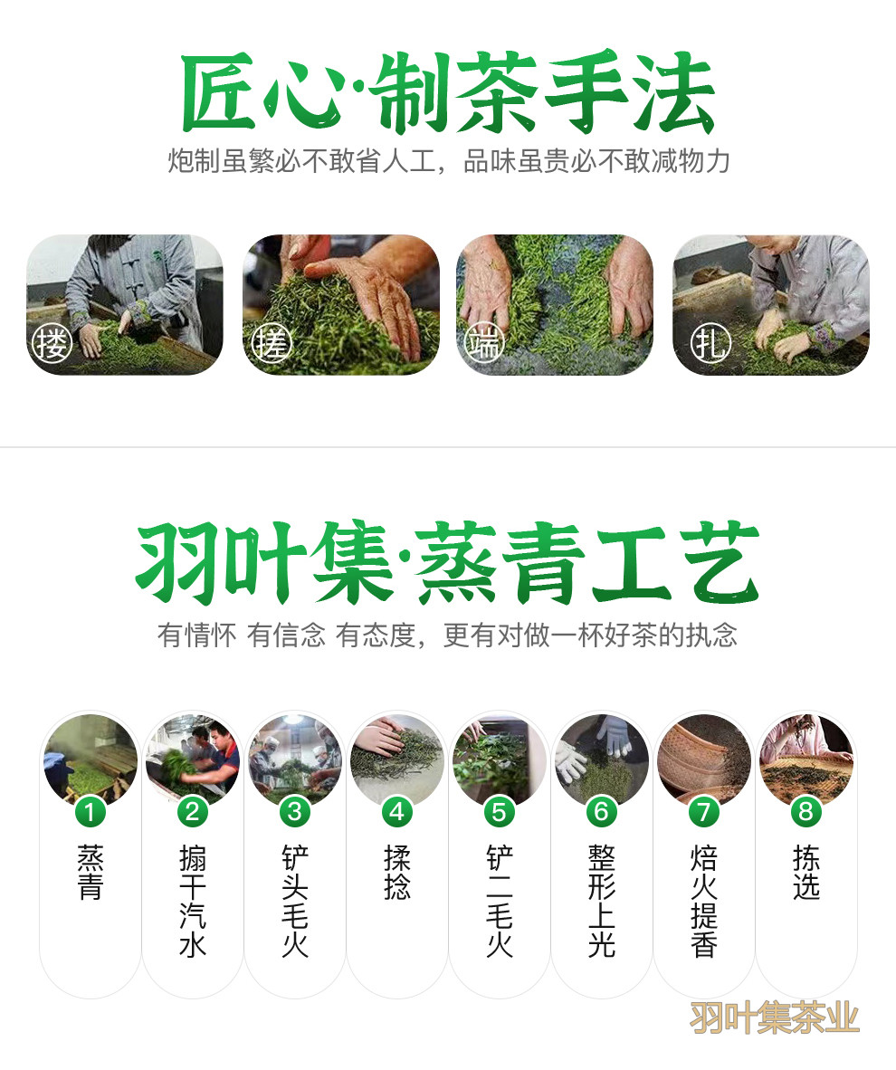 恩施玉露01-拷贝_12