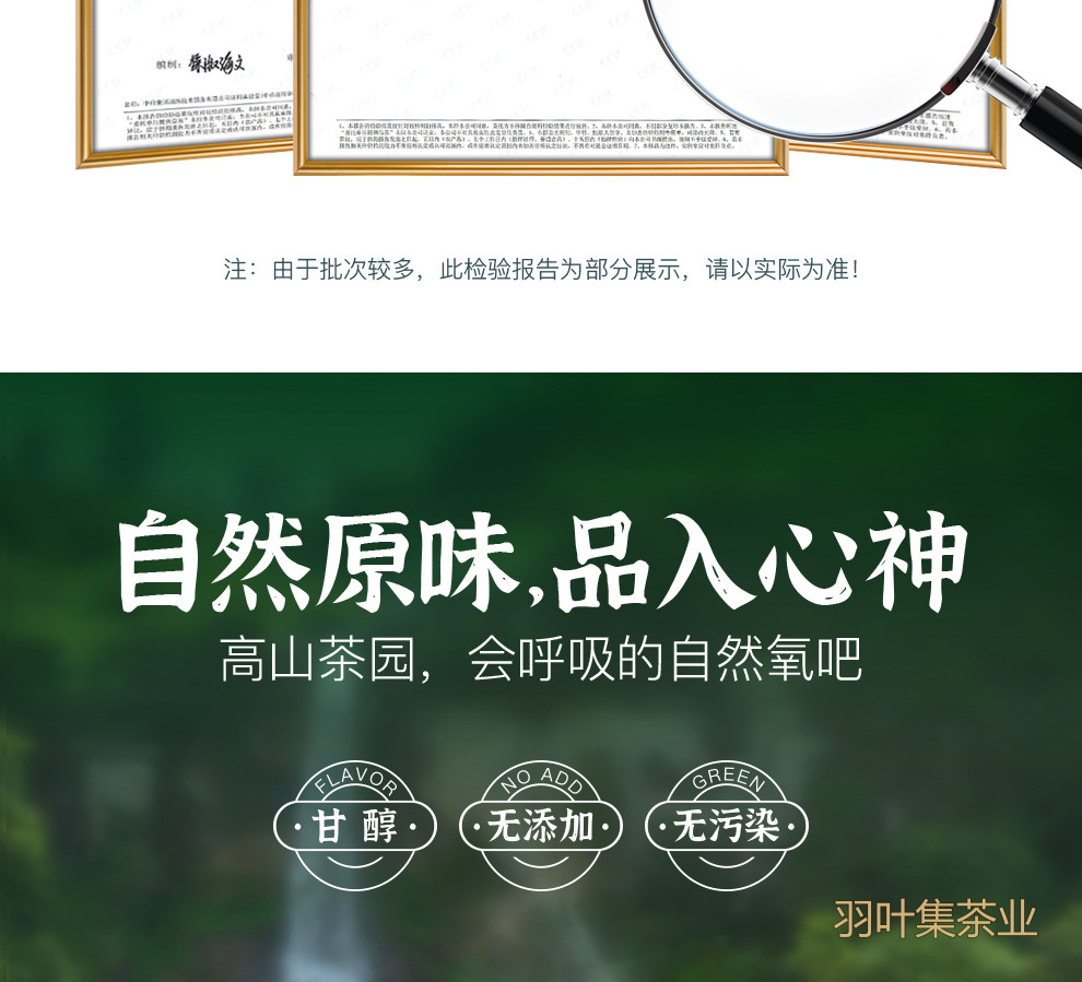 恩施玉露01-拷贝_12