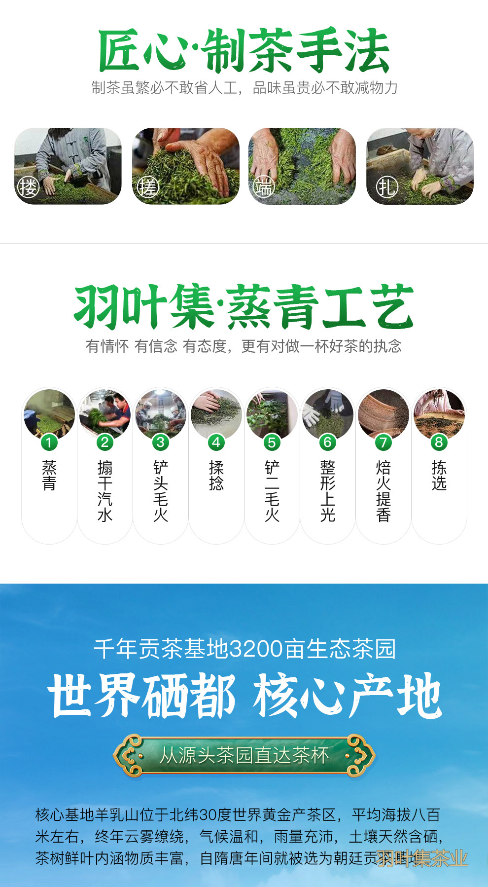 恩施玉露01-拷贝_14