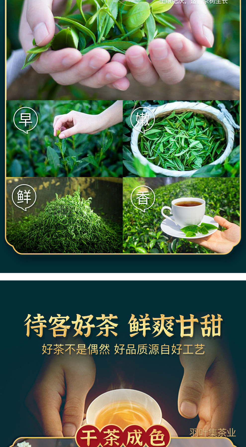 恩施玉露01-拷贝_16 拷贝
