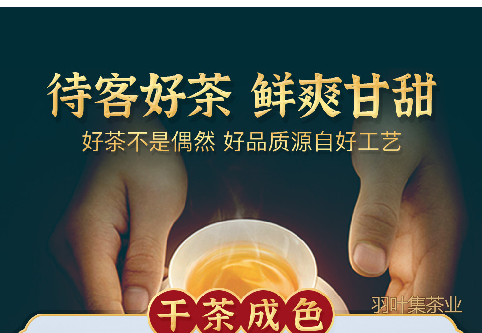 恩施玉露01-拷贝_16