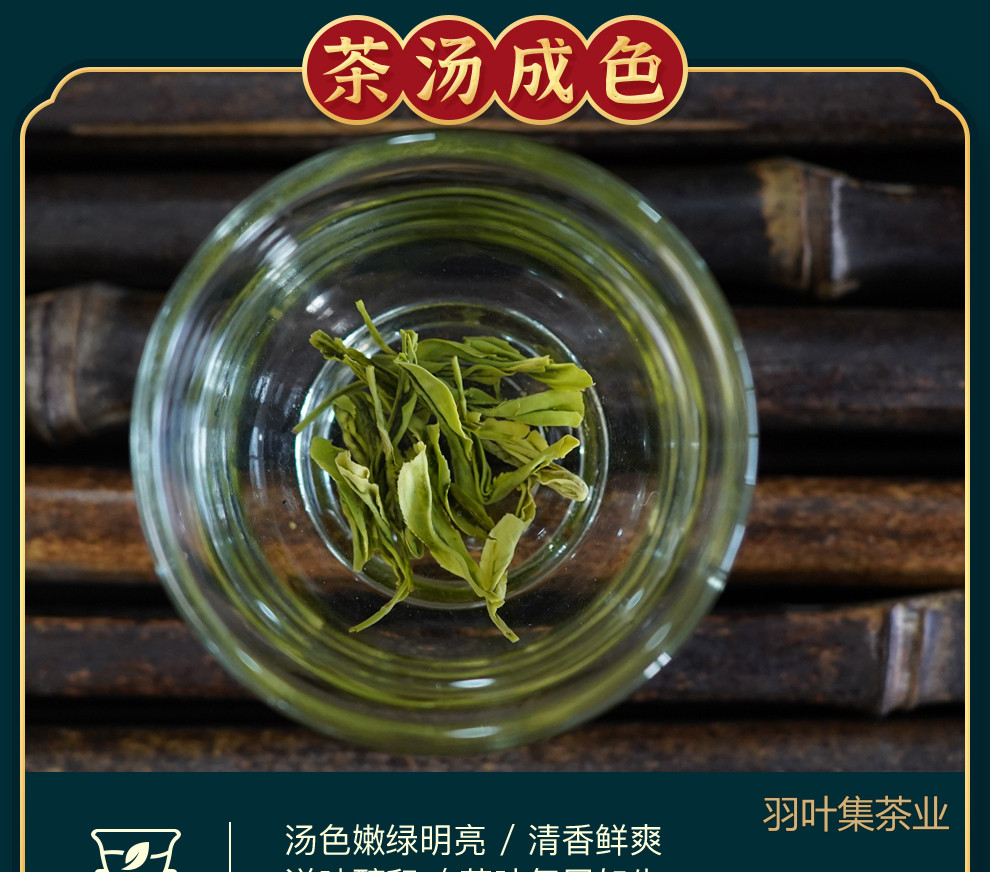 恩施玉露01-拷贝_18
