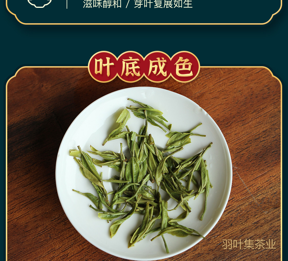 恩施玉露01-拷贝_18