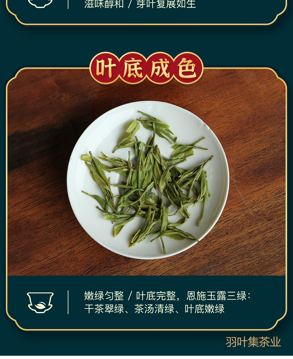 恩施玉露01-拷贝_19