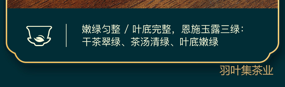 恩施玉露01-拷贝_19