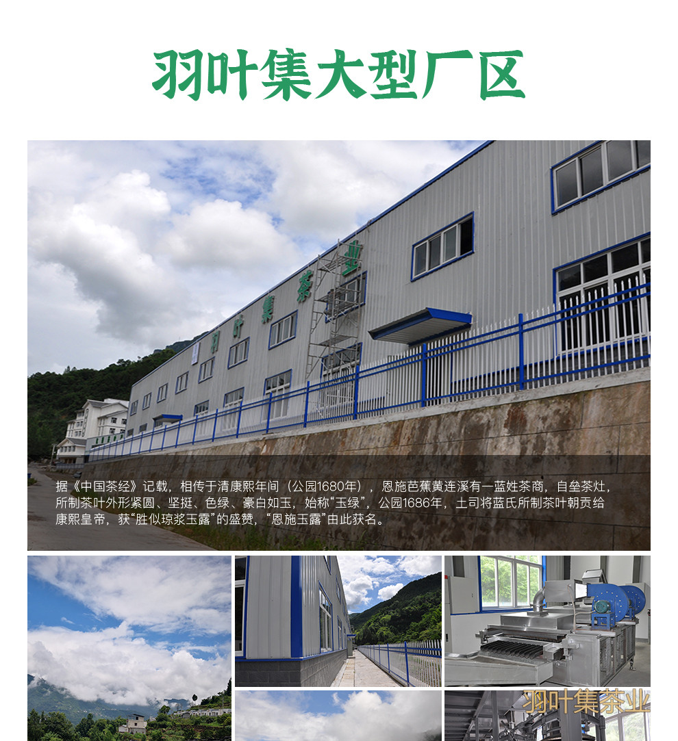 恩施玉露01-拷贝_25
