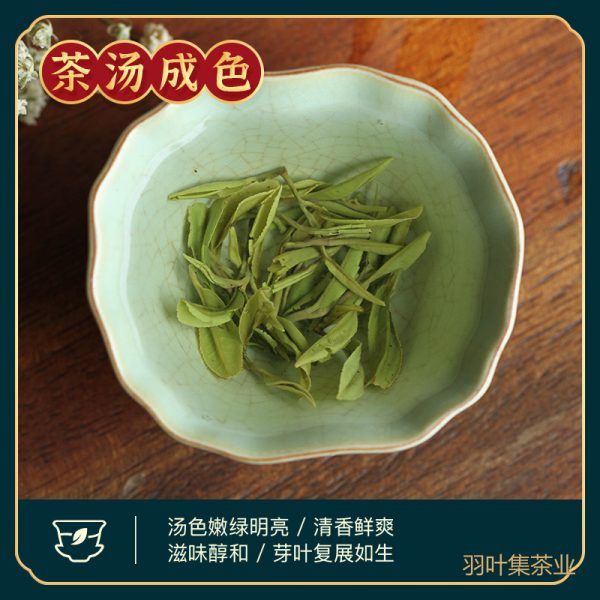 恩施玉露明前特级蒸青绿茶羽叶集恩施硒茶冷泡茶口粮茶叶自己喝办公茶100g
