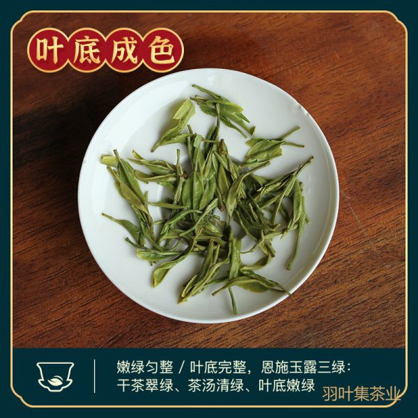 恩施玉露明前特级蒸青绿茶羽叶集恩施硒茶冷泡茶口粮茶叶自己喝办公茶100g