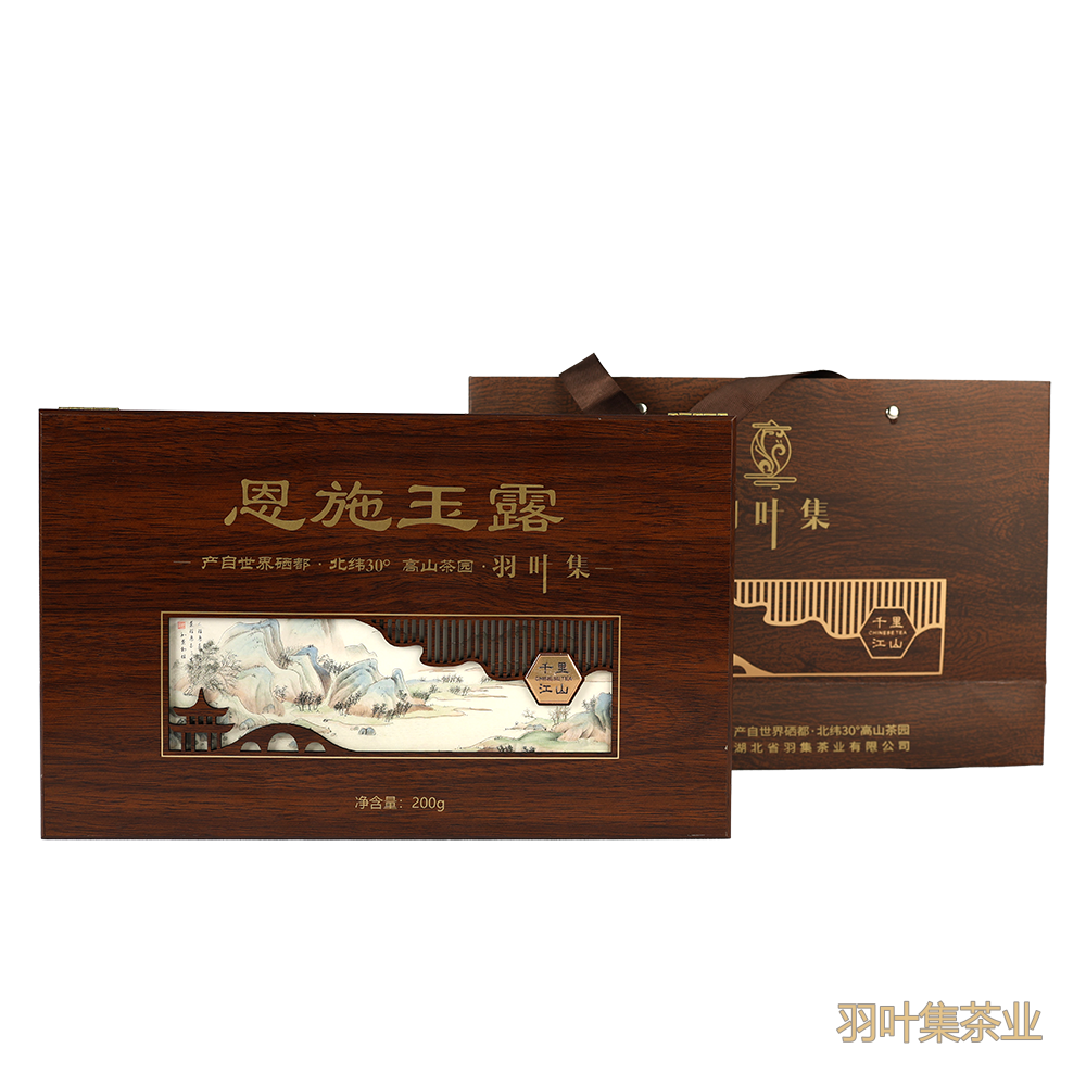 羽禅新