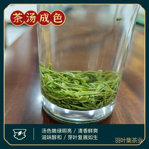 羽叶集明前特级恩施玉露独立小袋装T90