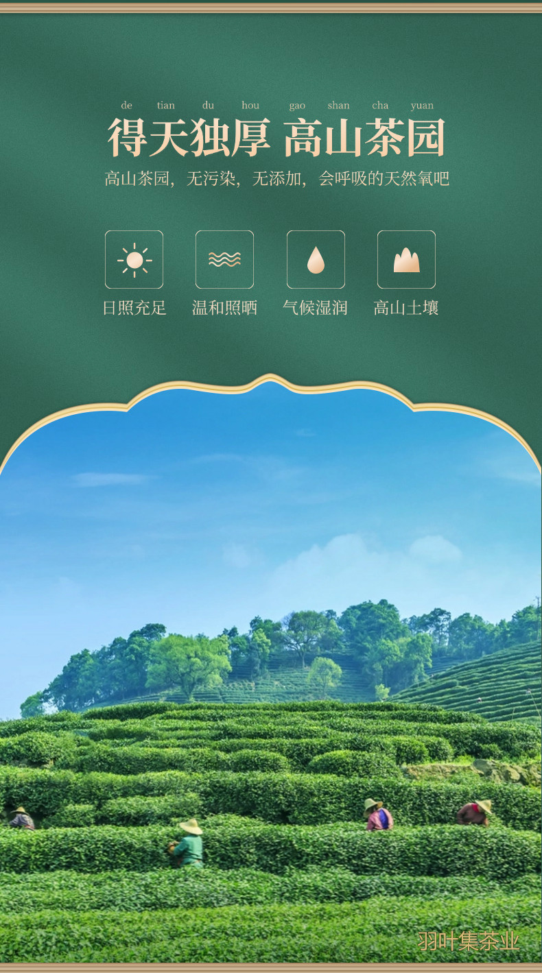 详情_04