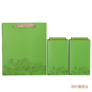 羽叶集明前恩施玉露口粮茶羽硕500g