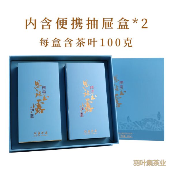 羽叶集恩施玉露明前春茶羽叶集蒸青绿茶叶礼盒恩施硒茶中秋节国庆节送长辈200g