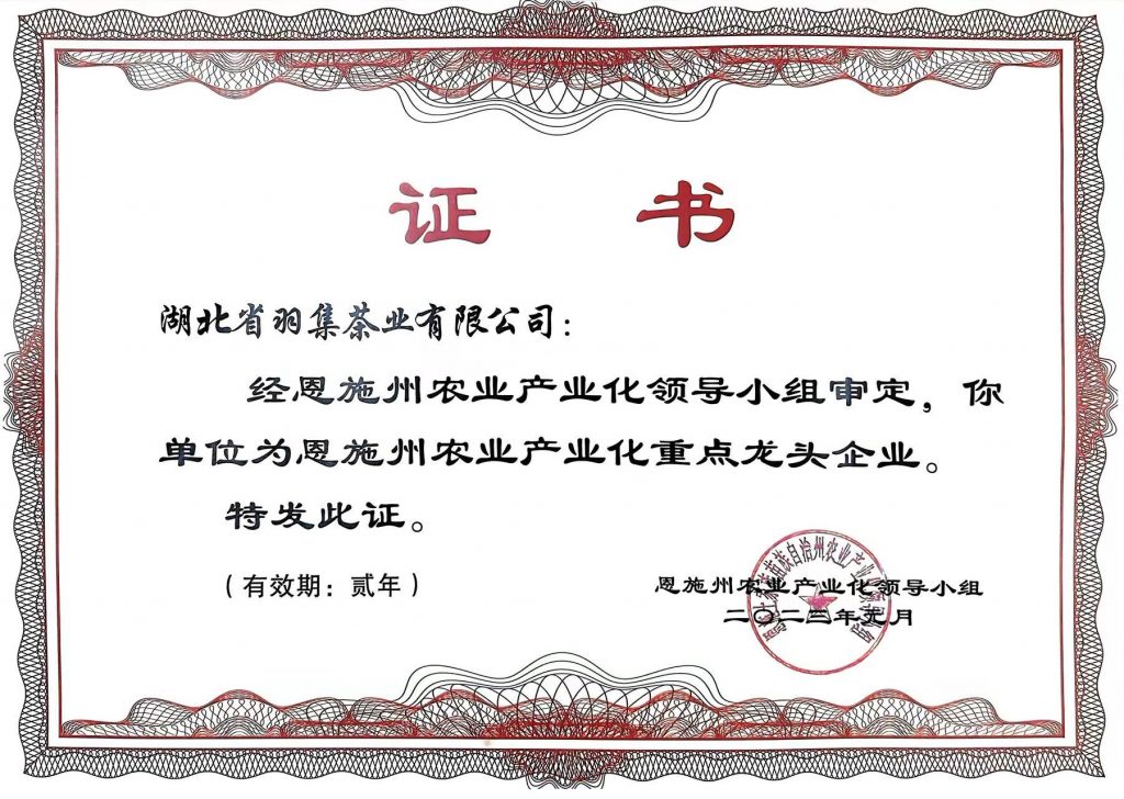 龙头企业
